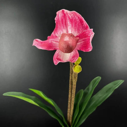Pocket Orchid High-Quality Artificial Flowers Deep Pink