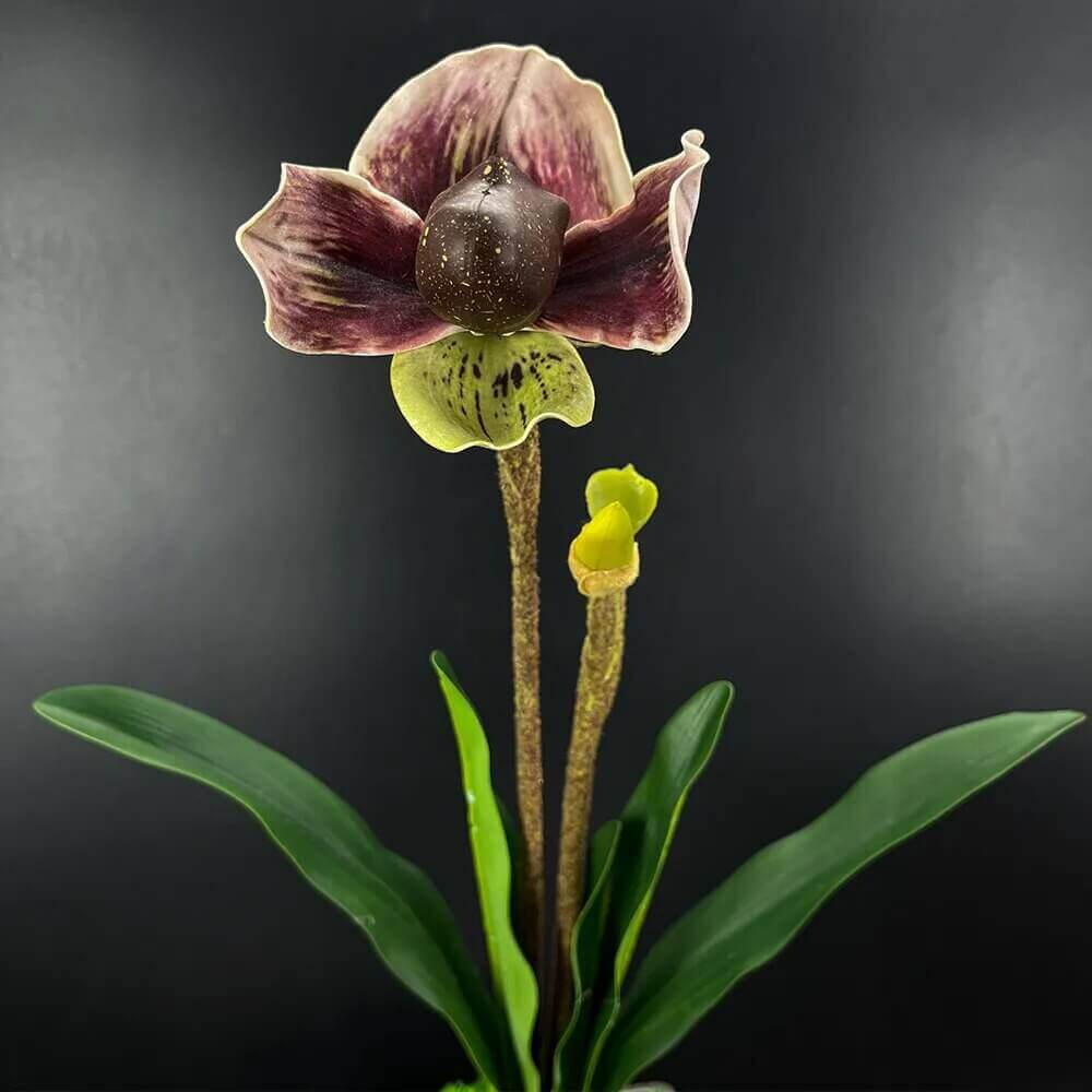 Pocket Orchid High-Quality Artificial Flowers Green Brown