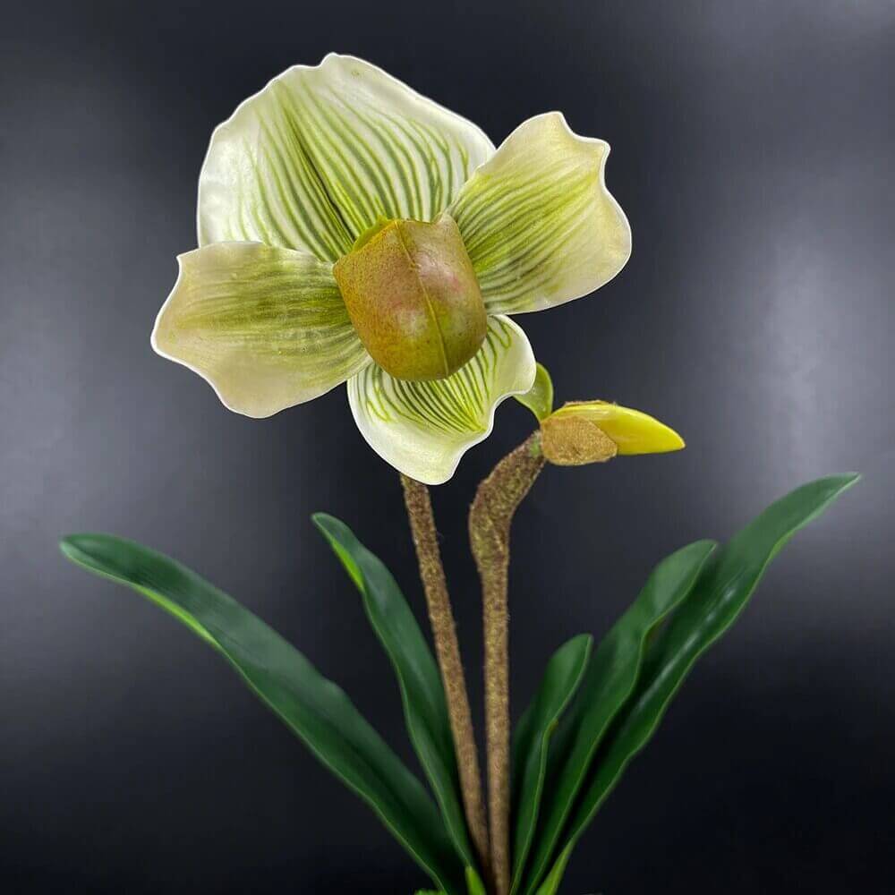 Pocket Orchid High-Quality Artificial Flowers Green White
