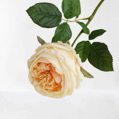 Real Touch Austin Roses Artificial Flowers