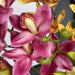 Real-Touch Cymbidium Orchid Stem with Leaves Real-Touch Cymbidium Orchid AliExpress