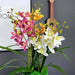 Real-Touch Cymbidium Orchid Stem with Leaves Real-Touch Cymbidium Orchid AliExpress