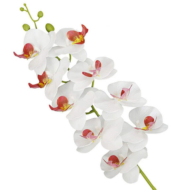 Real-Touch Silicone Artificial Butterfly Orchid 12