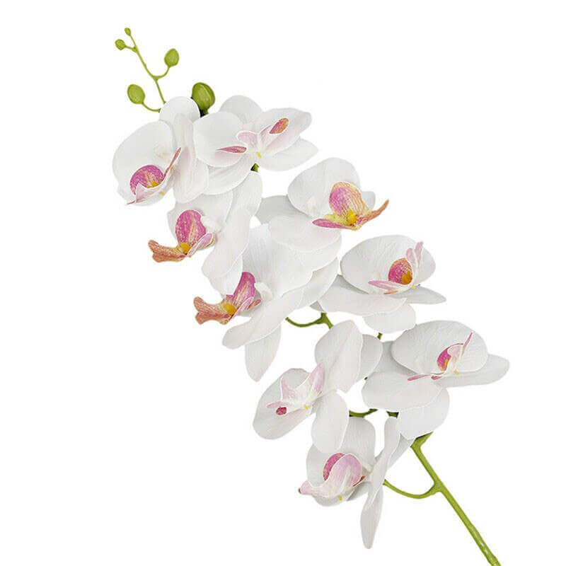 Real-Touch Silicone Artificial Butterfly Orchid 13