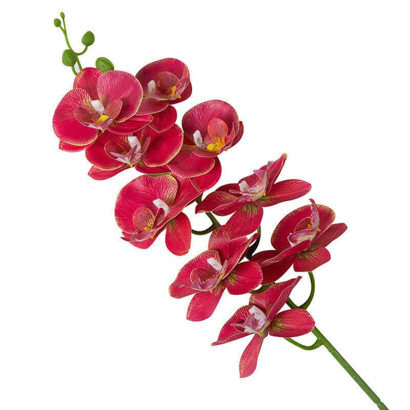 Real-Touch Silicone Artificial Butterfly Orchid 15