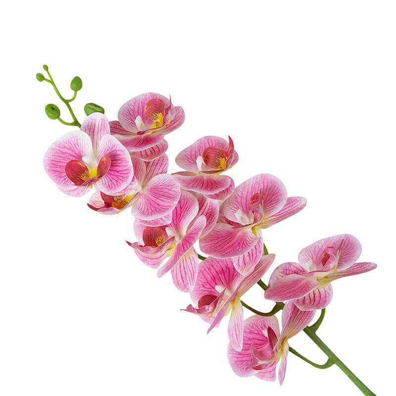 Real-Touch Silicone Artificial Butterfly Orchid 16