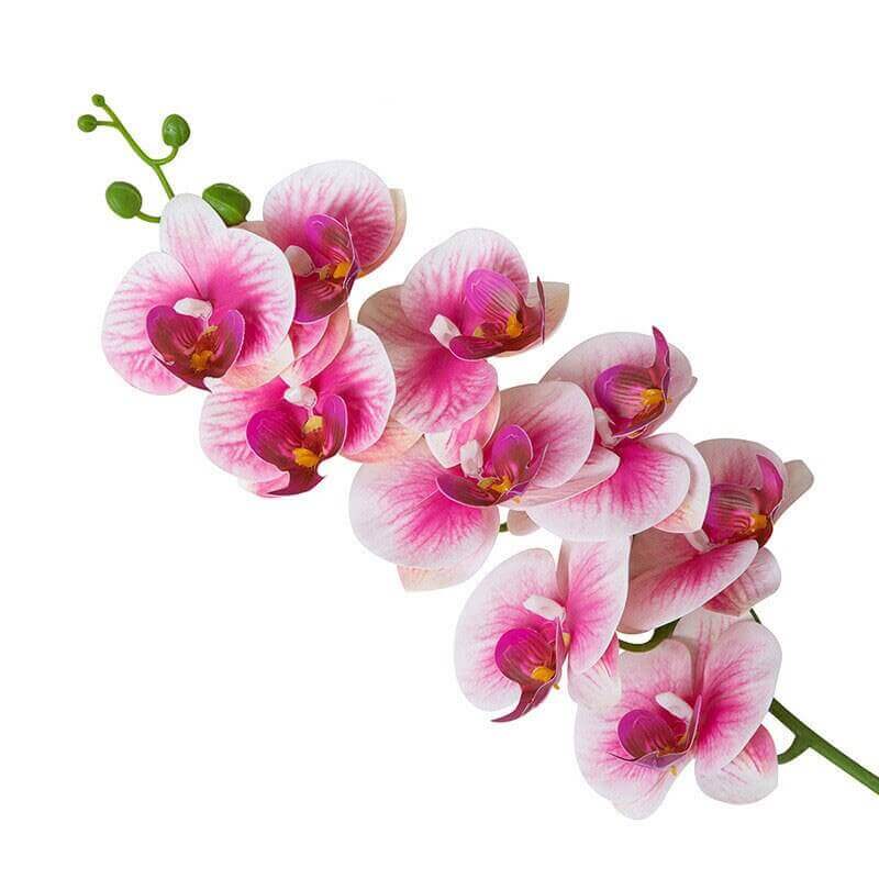 Real-Touch Silicone Artificial Butterfly Orchid 17