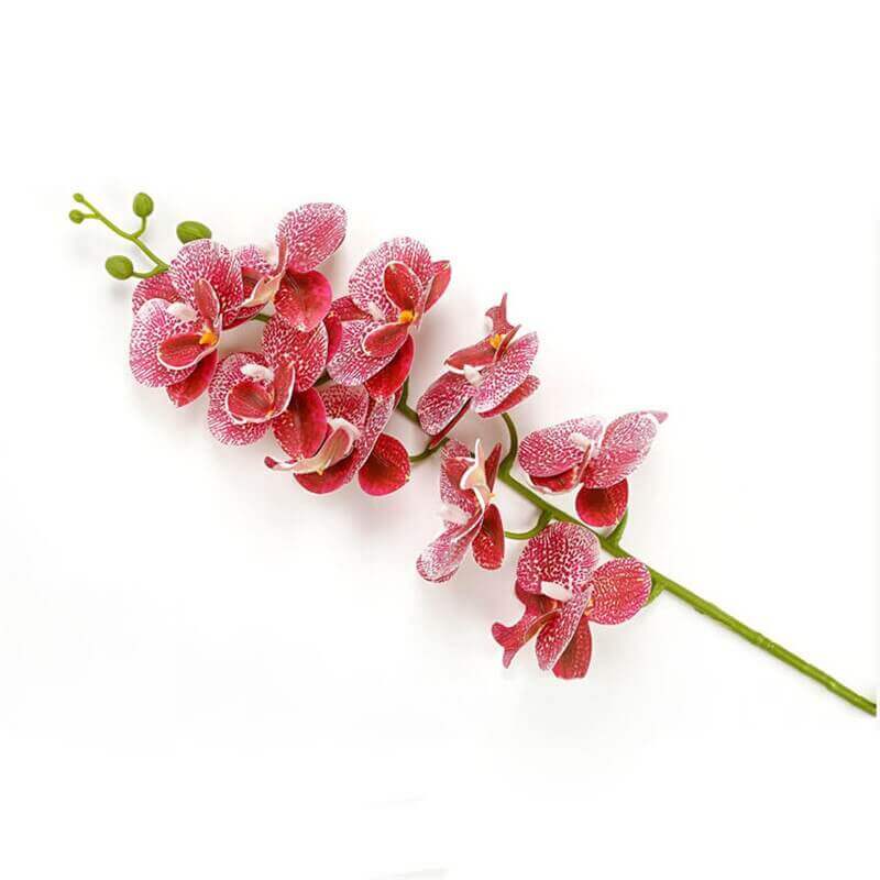 Real-Touch Silicone Artificial Butterfly Orchid 4