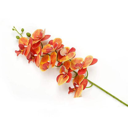 Real-Touch Silicone Artificial Butterfly Orchid 5