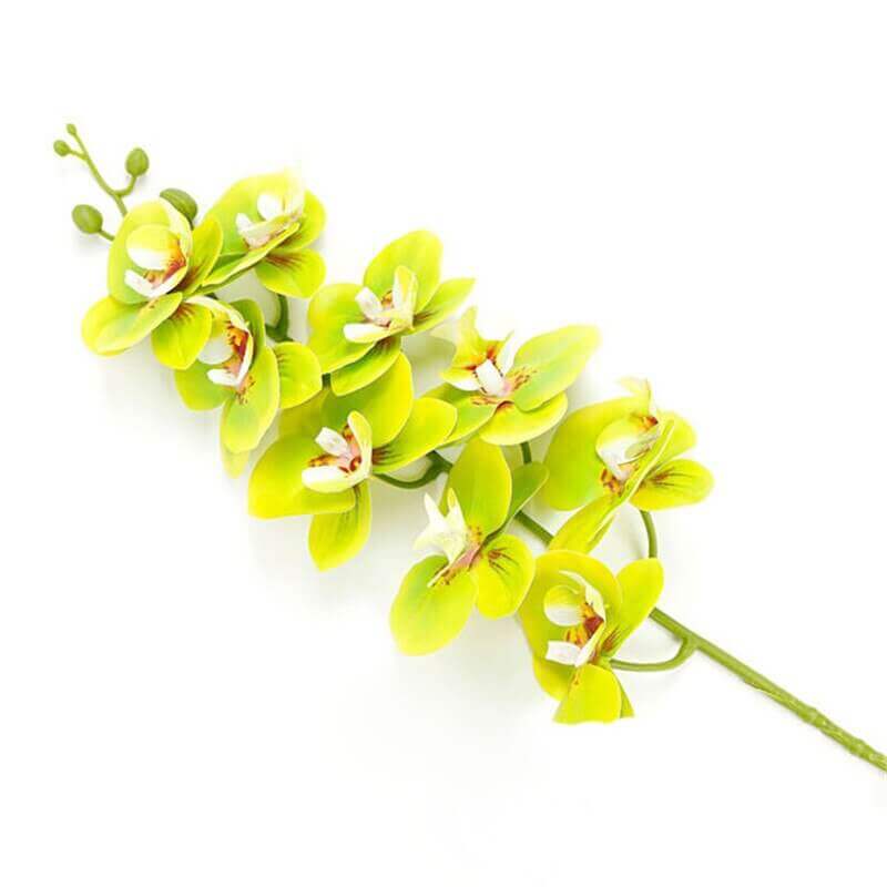 Real-Touch Silicone Artificial Butterfly Orchid 6
