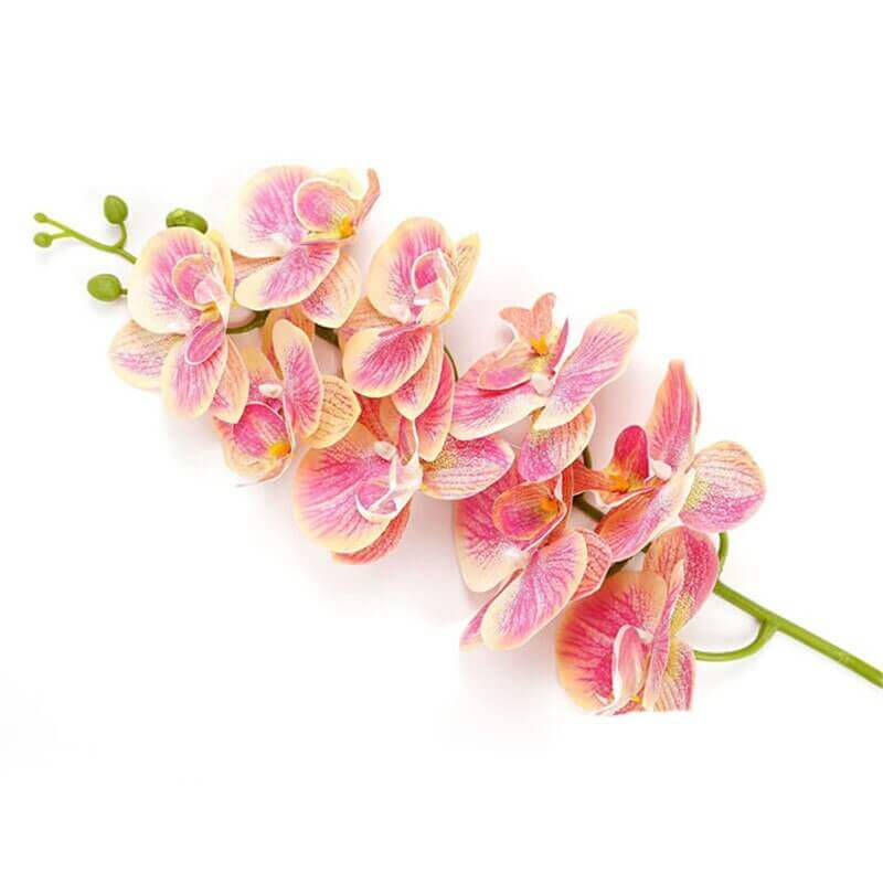 Real-Touch Silicone Artificial Butterfly Orchid 7