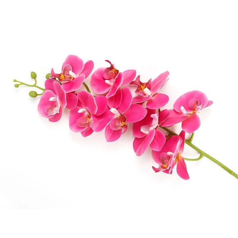 Real-Touch Silicone Artificial Butterfly Orchid 8