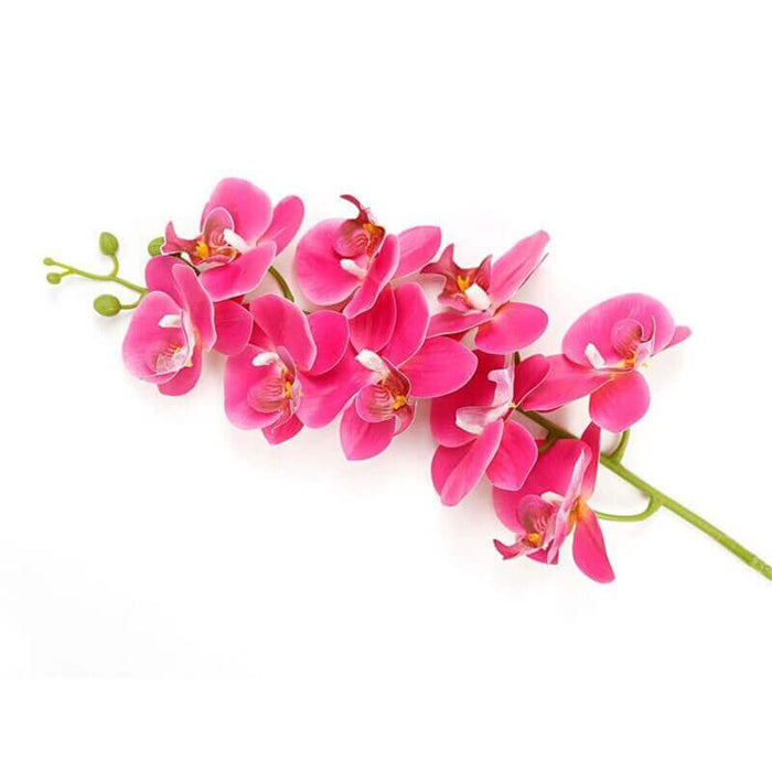 Real-Touch Silicone Artificial Butterfly Orchid Artificial Silicone Orchid AliExpress