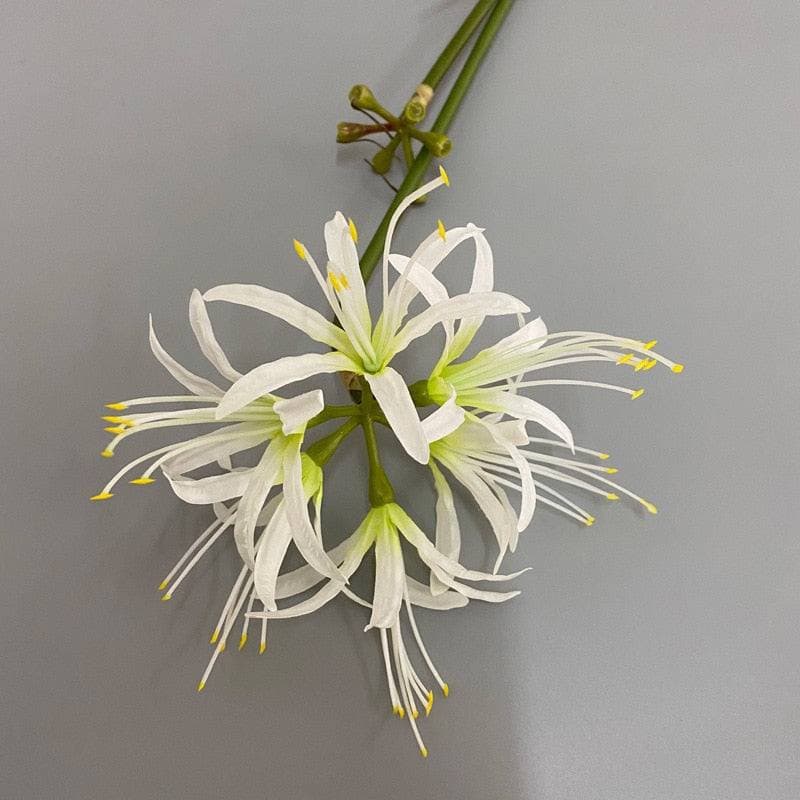 Silk Spider Lily Higanbana Flower