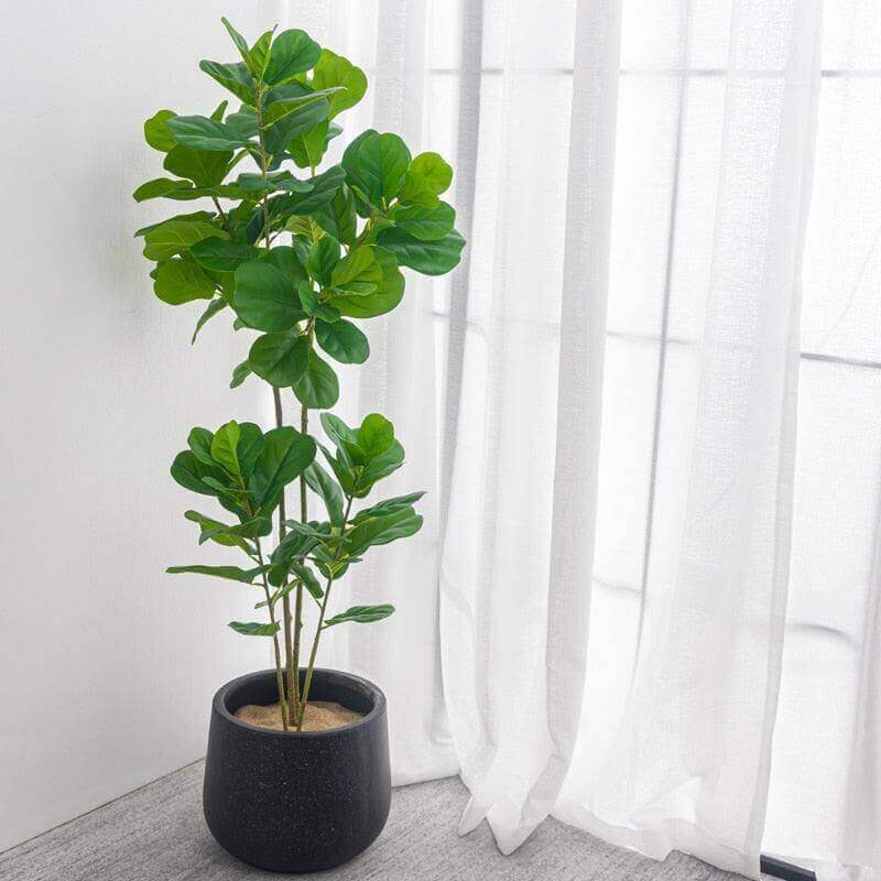 Large realistic artificial ficus tree adding greenery to a modern home setting with sheer curtains.