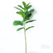 Large realistic artificial ficus tree with lifelike leaves and a textured stem against a white background.